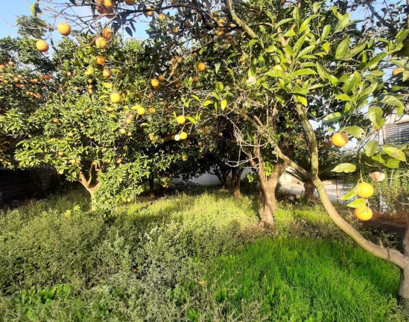خرید ویلا باغ 1030 متری در چمستان | ۱۰۳۰ متر