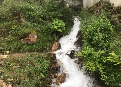خرید ویلا باغ نیمه ساخت با نهر آب اختصاصی دوهزار تنکابن | 1340 متر