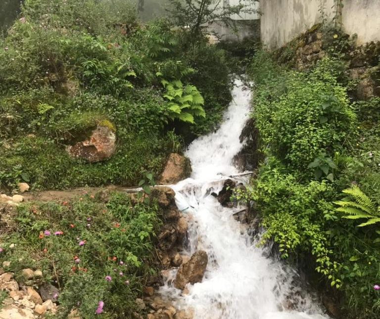 خرید ویلا باغ نیمه ساخت با نهر آب اختصاصی دوهزار تنکابن | 1340 متر