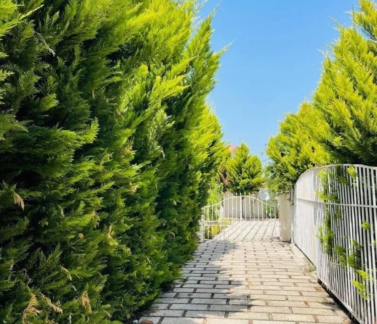 خرید ویلا 260 متری 2 خوابه در چمستان | 260 متر