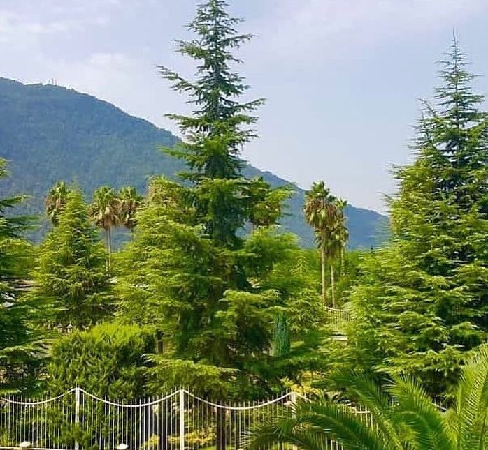 خرید ویلا باغ 400 متری شهرکی جنگلی جوربند | 400 متر