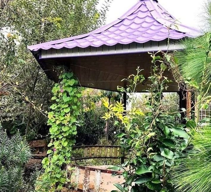 خرید ویلا باغ مناسب برای سرمایه گذاری | ۴۰۰ متر