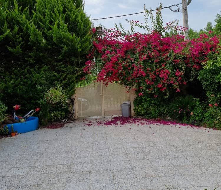 خرید باغ ویلا ارزنده مبله و جنگلی | 250 متر
