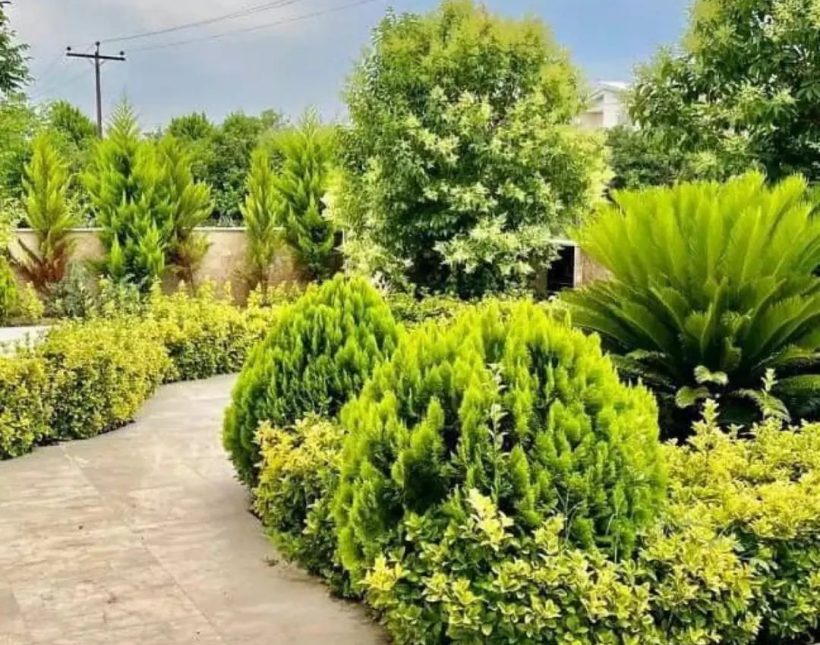 خرید ویلا دوبلکس مشجر 500 متری شهرکی | 500 متر