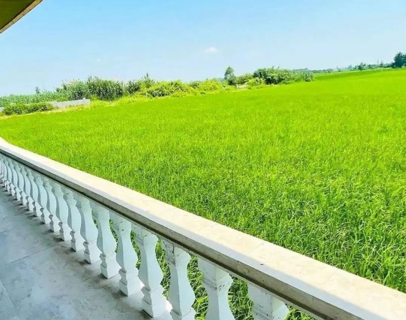 خرید ویلا همکف دارای جکوزی | ۳۵۰ متر