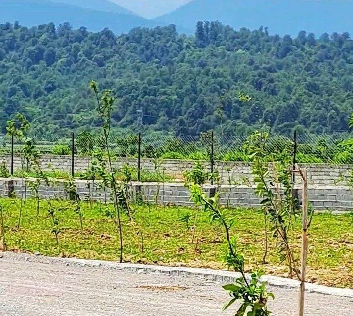 خرید زمین برای سرمایه گذاری | 250 متر
