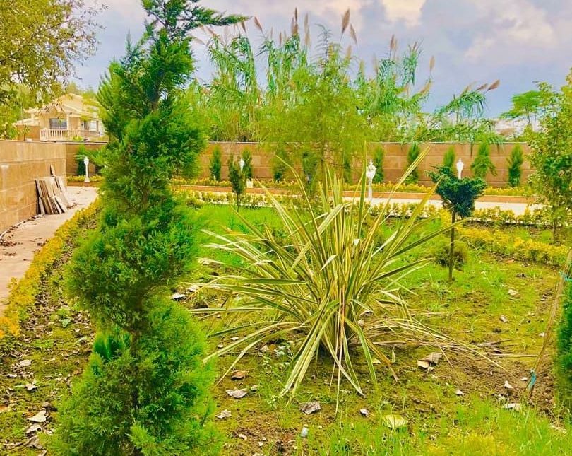 خرید ویلا جنگلی نور فوق لاکچری 1000 متری | 1000 متر