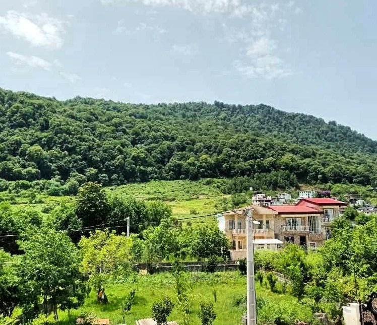 خرید ویلا چسبیده به جنگل سند دار | ۲۴۵ متر