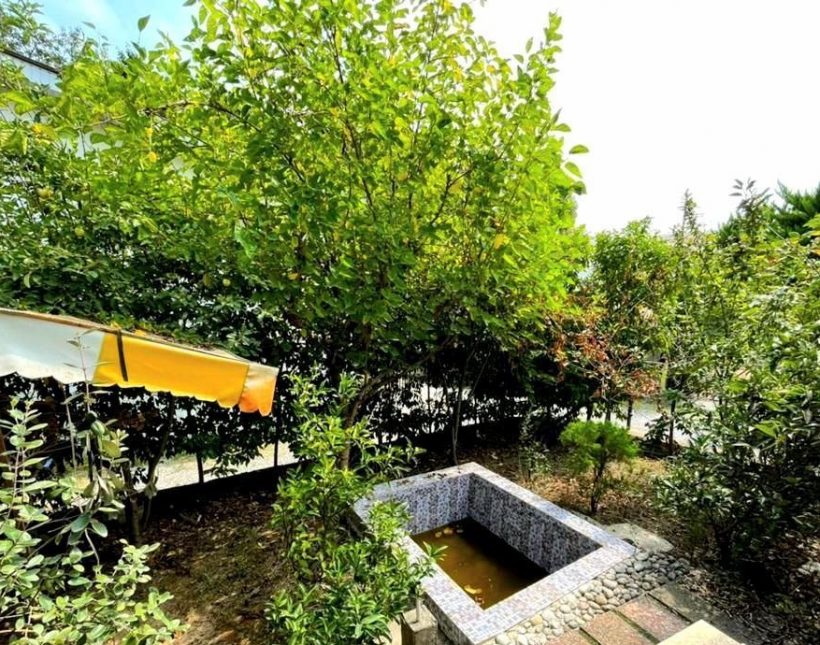 خرید 220 متر ویلا باغ جنگلی با سند تک برگ | 220 متر