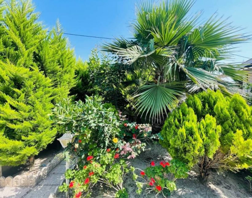 خرید ویلا 225 متری جنگلی معاوضه با ماشین | ۲۲۵ متر
