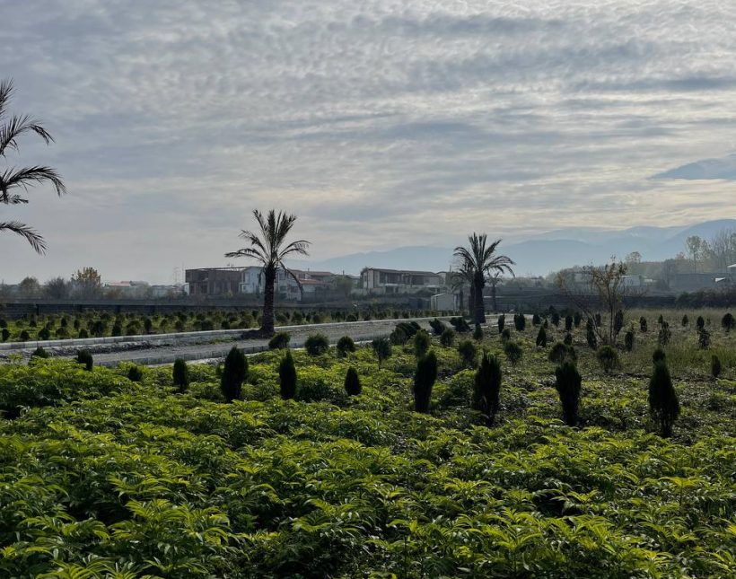 خرید زمین قابل ساخت سند تک برگ | ۲۰۰ متر