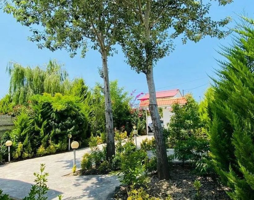 خرید ویلا جنگلی سند دار | ۲۵۰ متر
