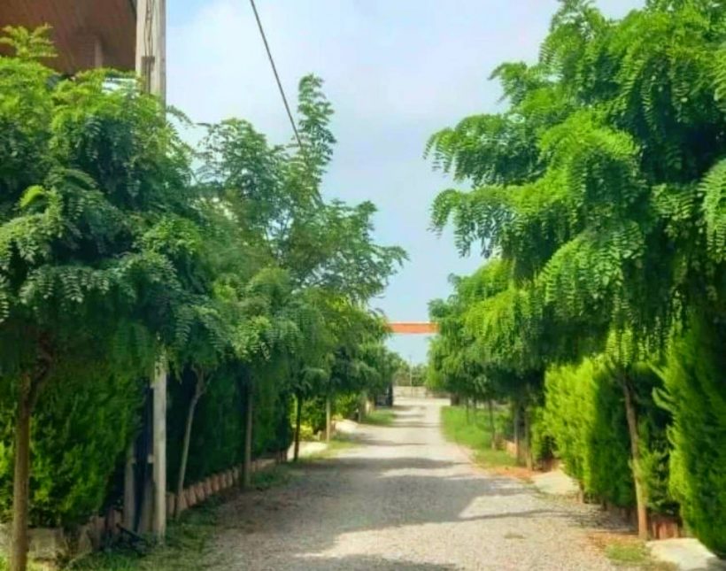 خرید ویلا مدرن 270 متری پلاک 1 جنگل | 270 متر
