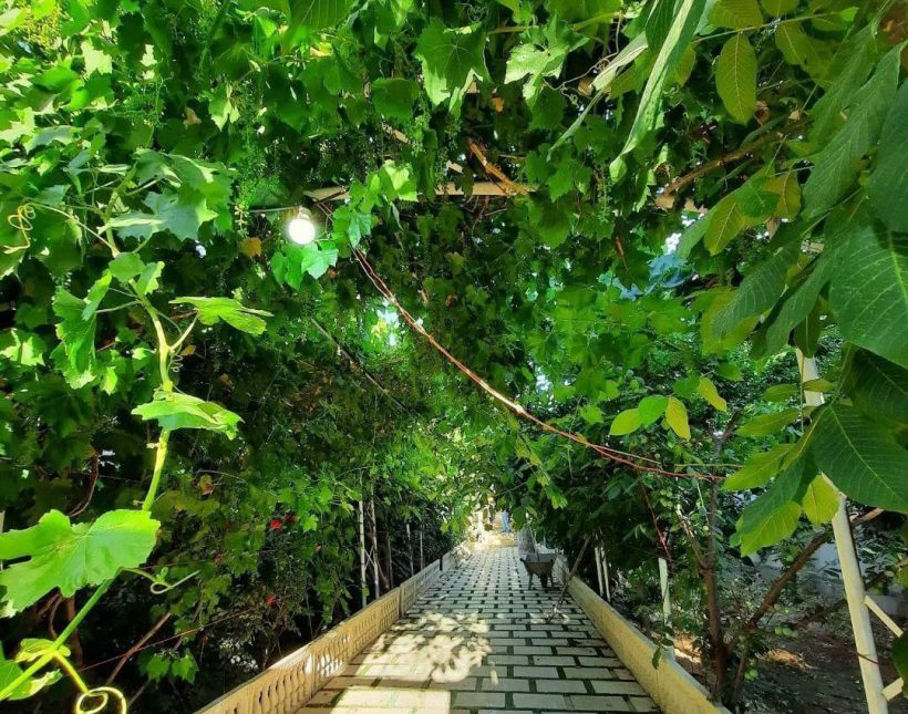 فروش ویلا باغ جنگلی 500 متری کلاسیک در نور | ۵۰۰ متر