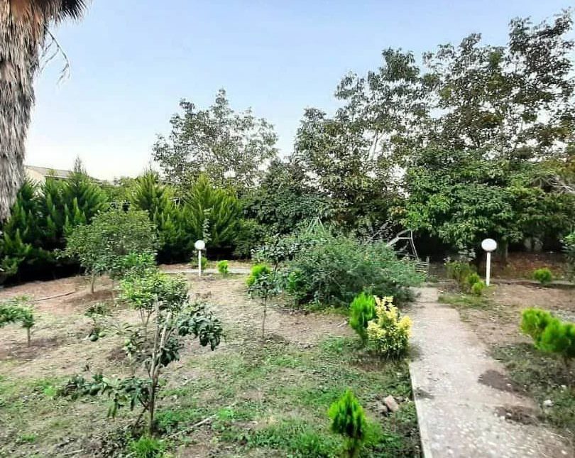 خرید ویلا جنگلی همکف 300 متری | ۳۰۰ متر