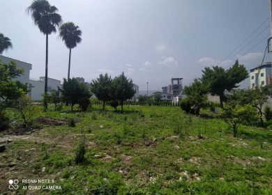 خرید زمین مسکونی 300 متری نزدیک به جنگل و دریا | 300 متر
