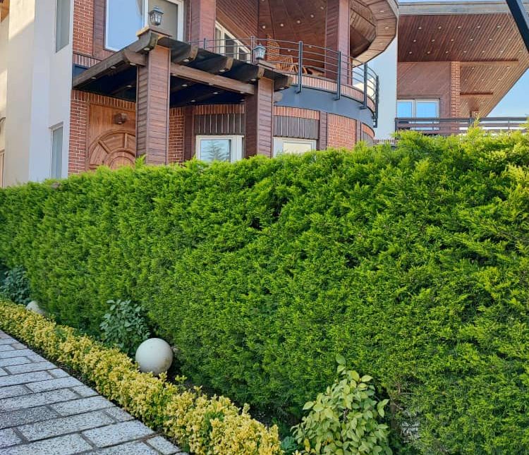 فروش ویلا دوبلکس با طراحی عالی حیاط سازی سرسبز | 350 متر
