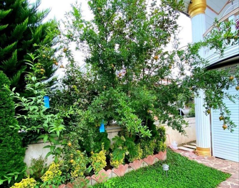 خرید ویلا مبله کامل سند دار 310 متری | 310 متر