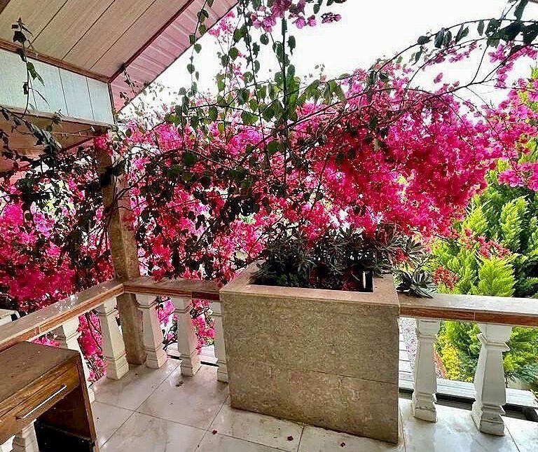 خرید ویلا باغ مبله 250 متری سند دار شهرک گلها | ۲۵۰ متر