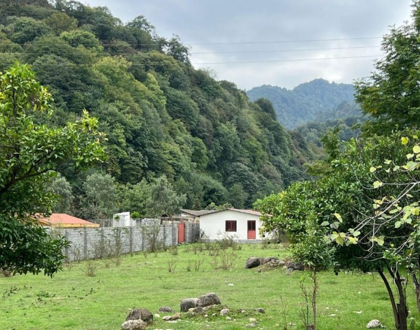 خرید زمین قابل ساخت با ویو ابدی جنگل | ۳۰۰ متر