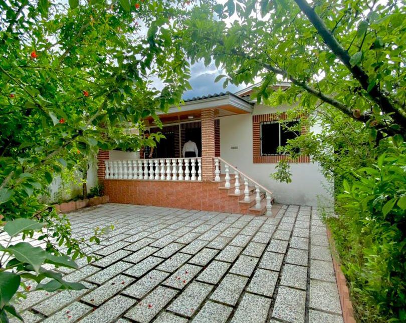 خرید ویلا همکف پلاک یک جنگل سند دار | ۳۰۰ متر