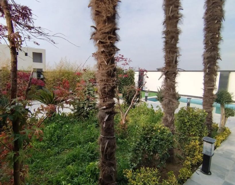خرید ویلا باغ مدرن و مشکی جنگلی استخر دار | ۴۷۰ متر