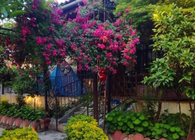 خرید ویلا باغ شهرک گلهای داوودی نعمت آباد | ۳۰۰ متر