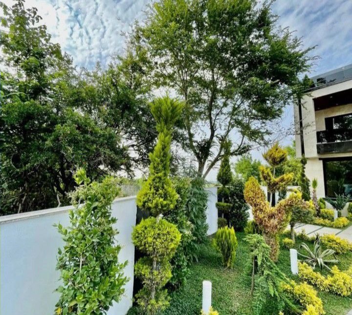 خرید ویلا باغ مدرن 350 متری پلاک 1 جنگل | 350 متر
