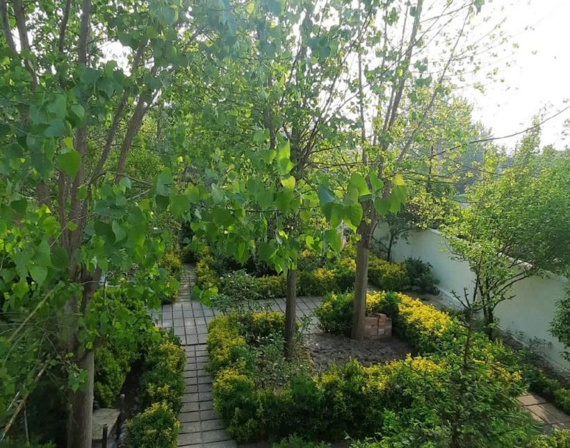 خرید باغ ویلا سند دار جنگلی | ۳۳۰ متر