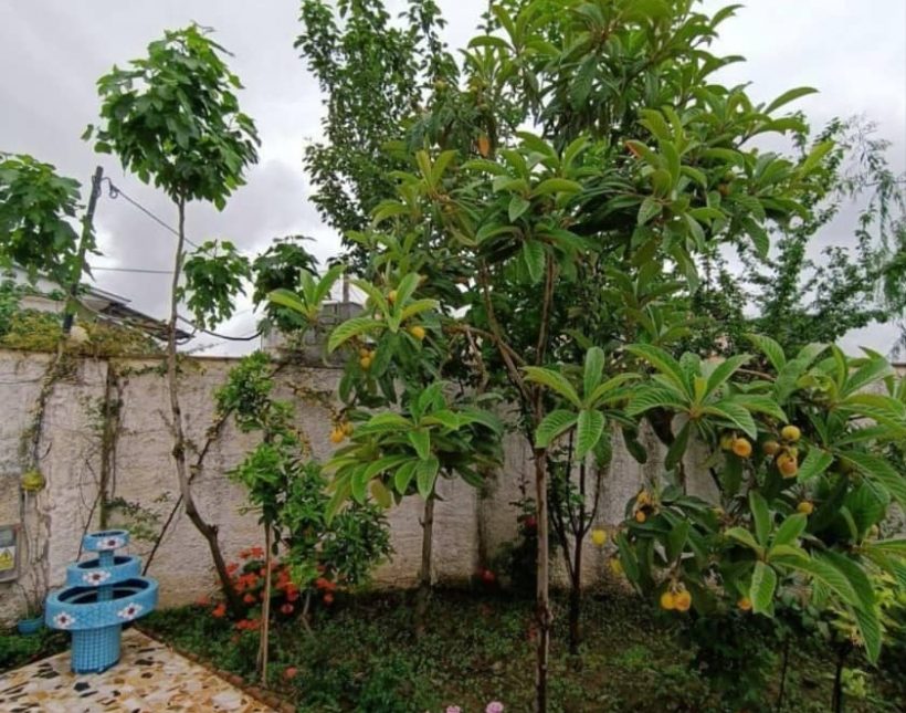 خرید ویلا 95 متری آهودشت چمستان | 230 متر