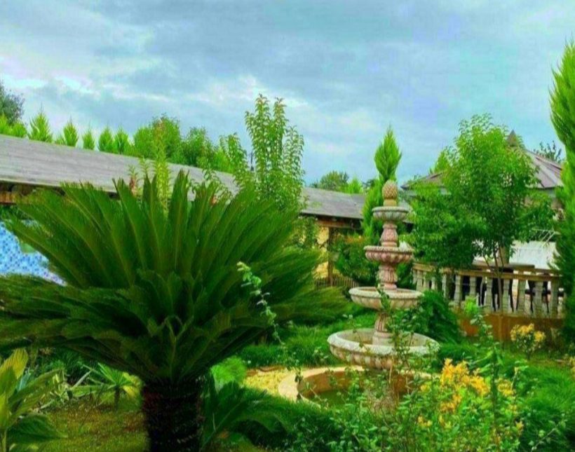 خرید ویلا باغ فلت 600 متری جنگلی نور | 600 متر