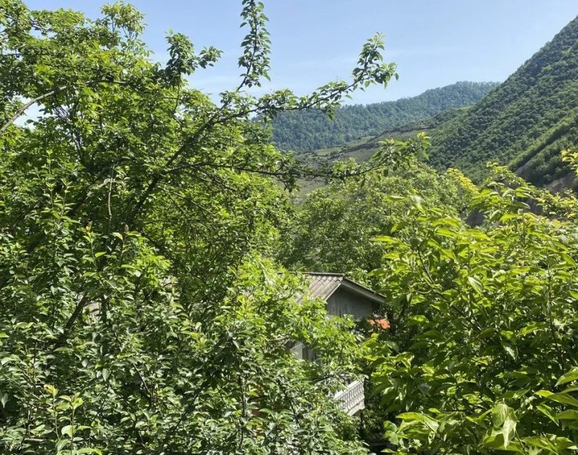 خرید ویلا دوبلکس جنگلی با متراژ 1000 متر | ۱۰۰۰ متر