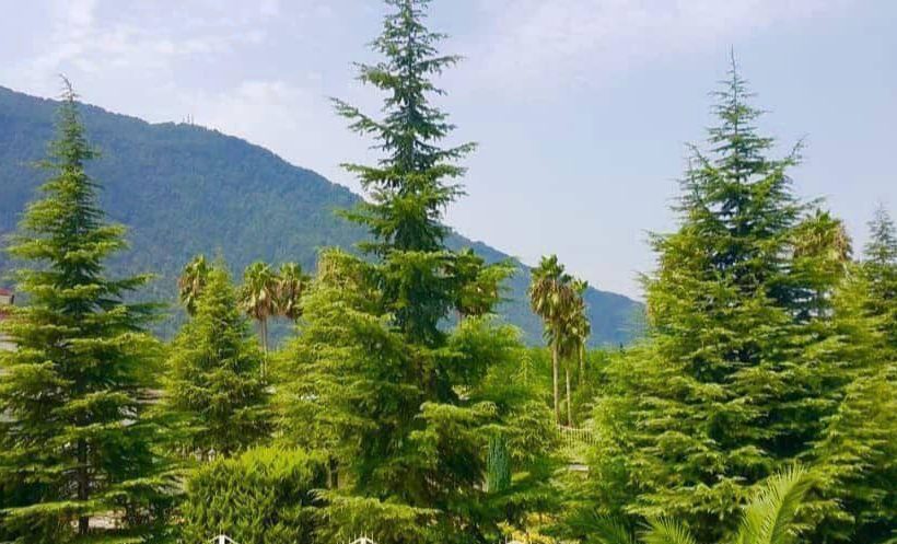 خرید ویلا دوبلکس 470 متری هوشمند و سند دار چمستان | 470 متر