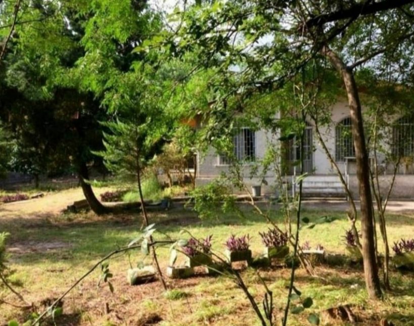 خرید باغ ویلای 350 متری قواره اول جنگلی نور | 350 متر