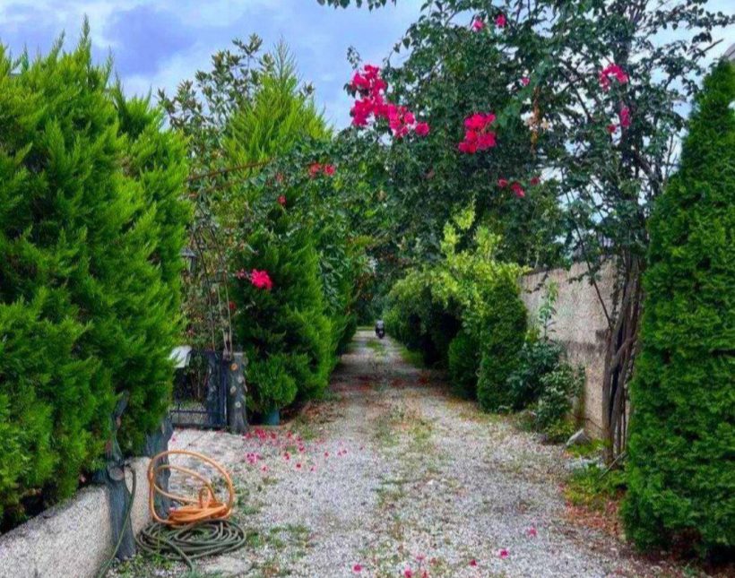خونه باغ نوستالژی جنگلی 260 متری کنار دریاچه | ۲۸۰ متر
