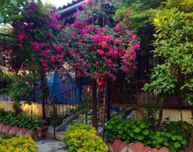 خرید باغ ویلای 250 متری سند دار جنگلی فول مبله | 250 متر
