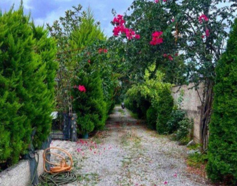 خرید باغ ویلای 250 متری سند دار جنگلی فول مبله | 250 متر