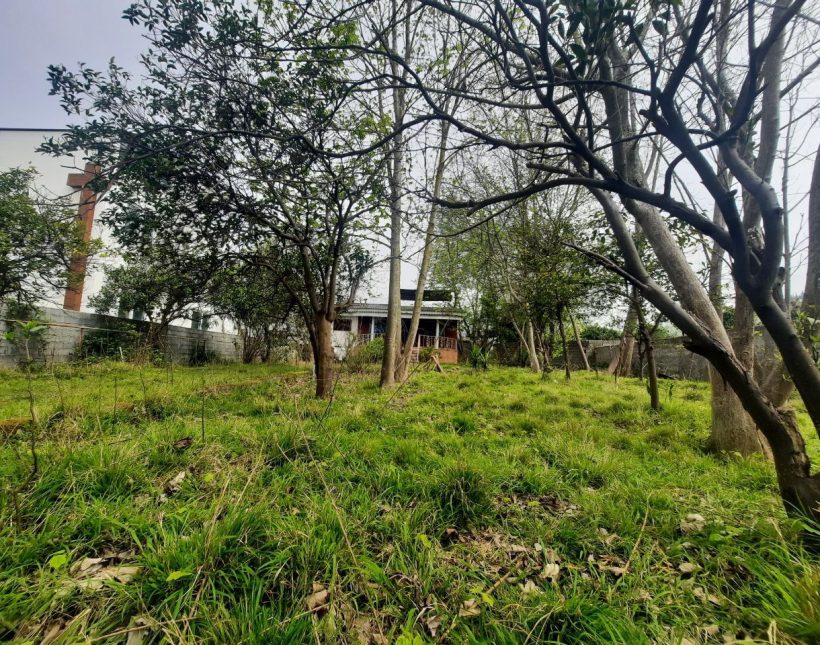 خرید ویلا باغ کلنگی 860 متری چمستان | 860 متر