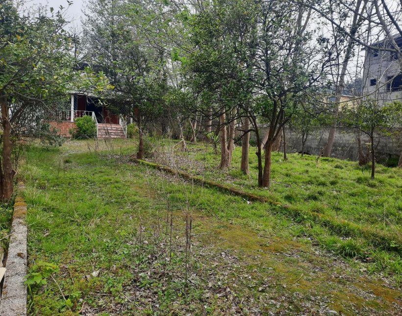 خرید ویلا باغ کلنگی 860 متری چمستان | 860 متر