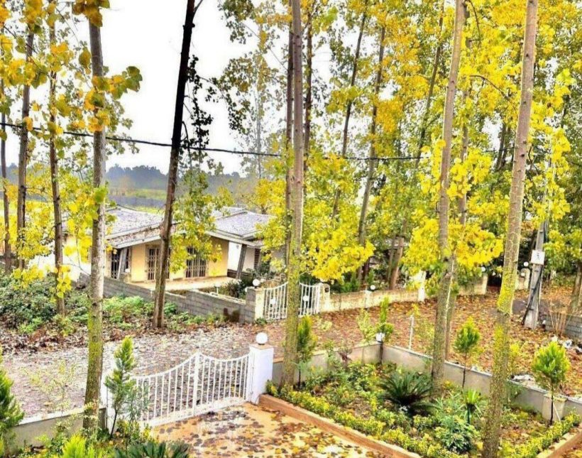 خرید ویلا باغ پیلوت 230 متری سند دار جنگلی آپادانا نور | 230 متر