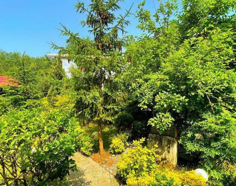 خرید ویلا باغ 750 متری چسبیده به جنگل الیمالات | ۷۵۰ متر