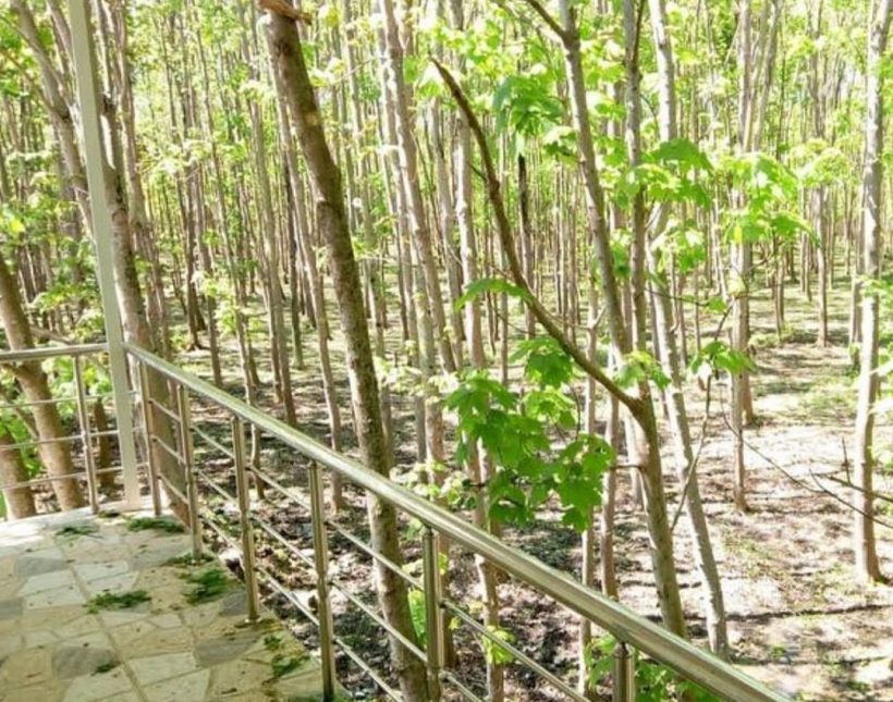خرید ویلا دوبلکس 270 متری پلاک اول جنگل | 270 متر
