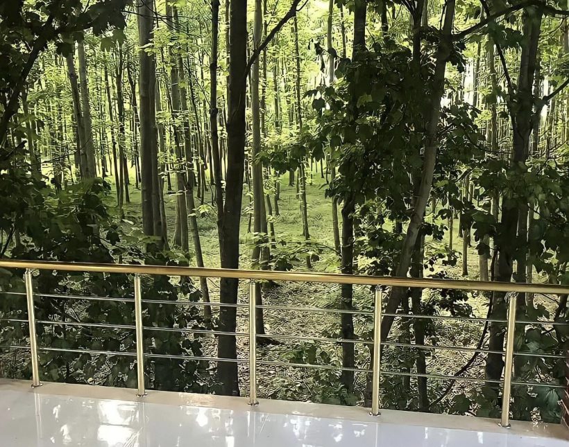 خرید ویلا تریپلکس 500 متری پلاک 1 جنگل | 500 متر