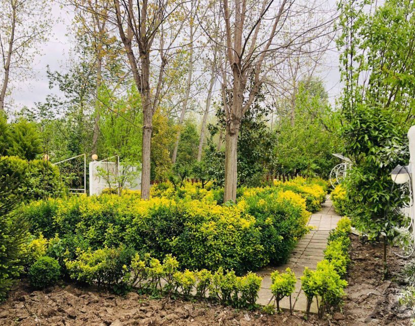 خرید ویلا باغ نقلی 300 متری امیرآباد پلاک یک جنگل | 300 متر