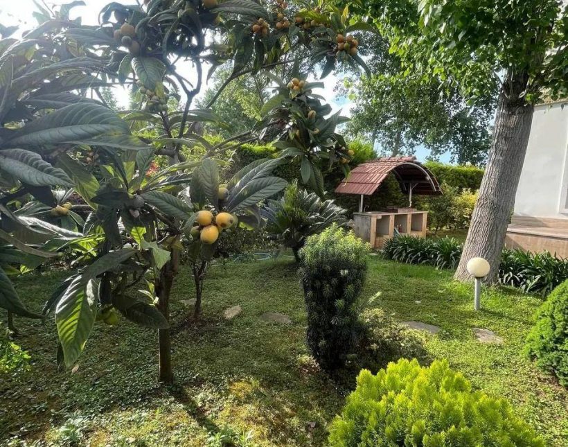 ویلا باغ سرسبز 500 متری با درختان قدیمی و میوه دار | 500 متر