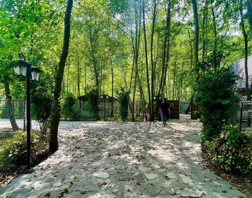 خرید ویلا سوییسی 300 متری فول مبله در دل جنگل | ۳۰۰ متر