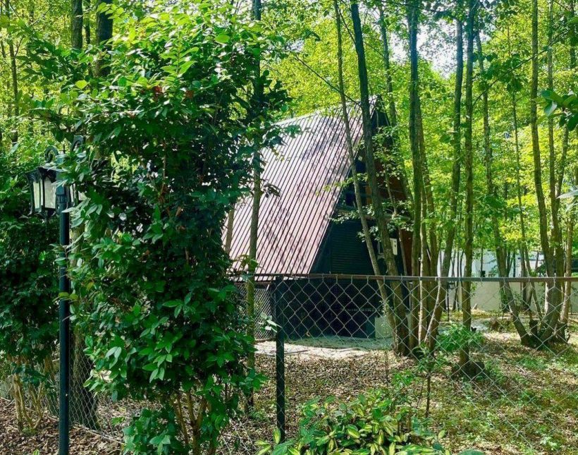 خرید ویلا سوییسی 300 متری فول مبله در دل جنگل | ۳۰۰ متر