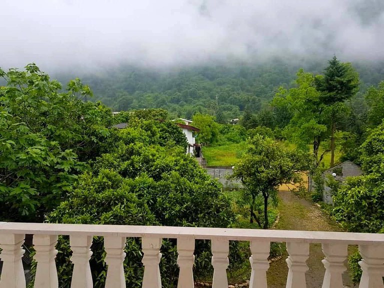 خرید ویلا قواره 1 جنگل جوربند 600 متری | ۶۰۰ متر