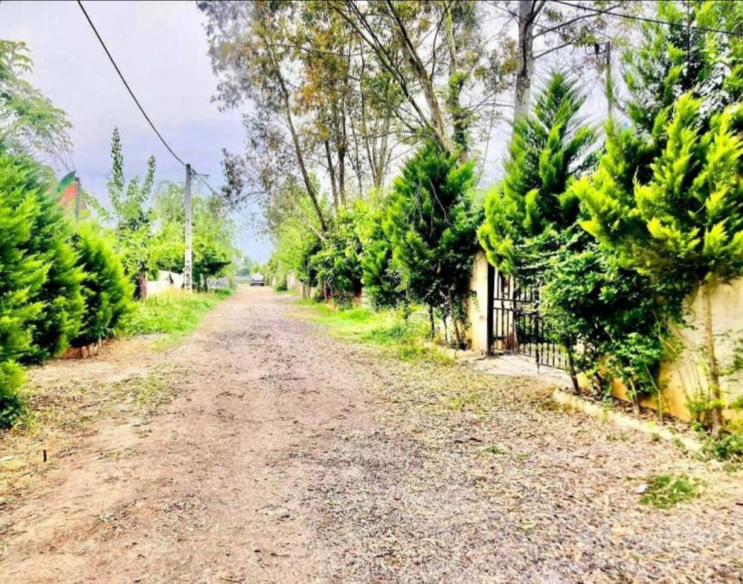 خرید ویلا نما سنگ جنگلی 250 متری شهرک بهارستان | ۲۵۰ متر