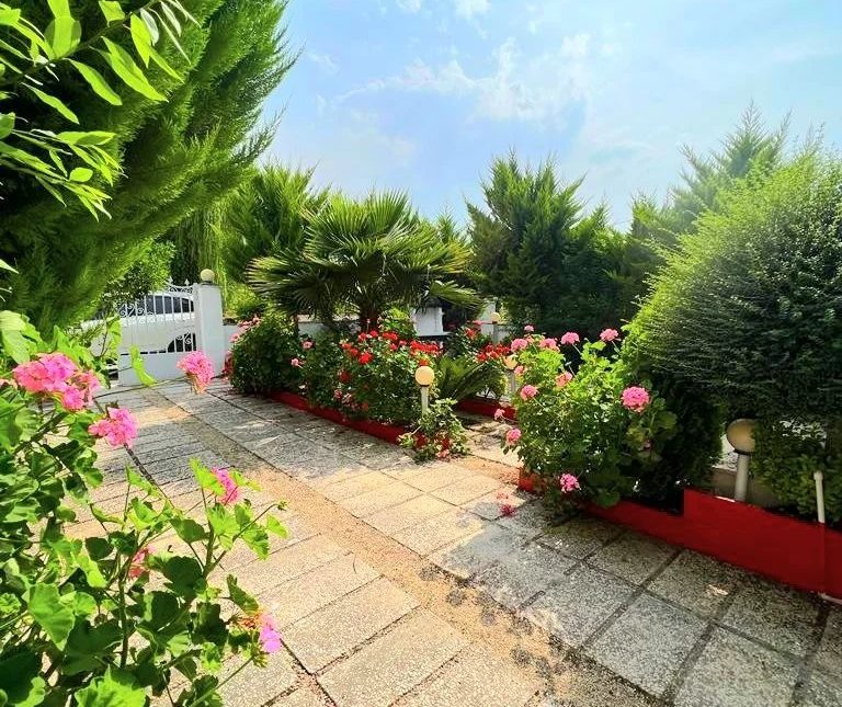 خرید ویلا باغ نما چوب بالا دست جاده | 300 متر